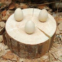 manual override of the alt attribute